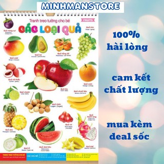 Bộ tranh song ngữ 12 chủ đề chữ cái con vật hoa quả màu sắc treo tường cho bé 1 2 3 4 5 tuổi