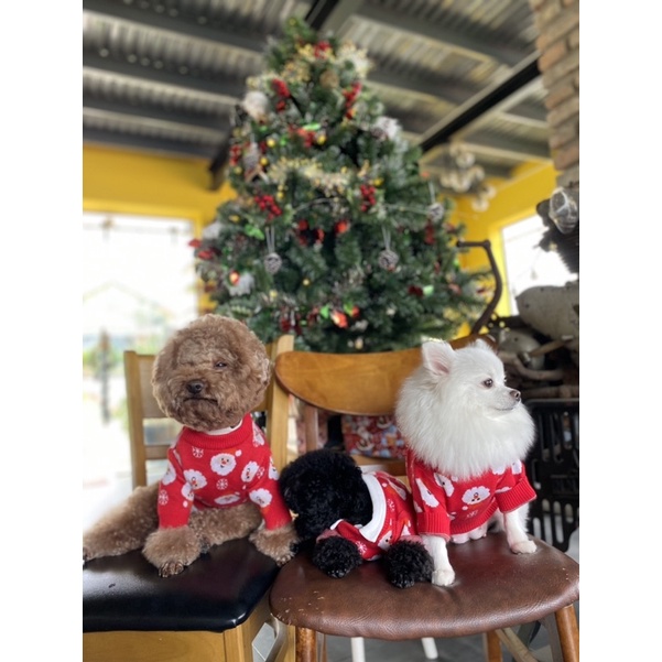 ÁO LEN NOEL CHO THÚ CƯNG