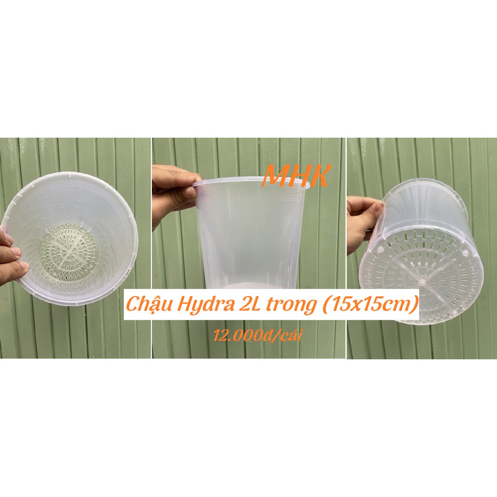 Chậu nhựa cứng 2L (15x15cm) dòng Hydra !