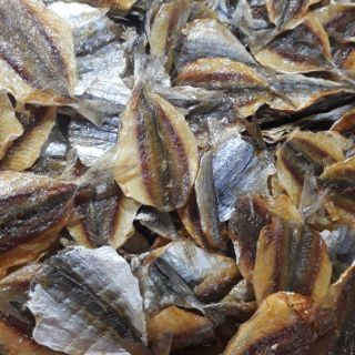 Cá chỉ vàng loại 1
