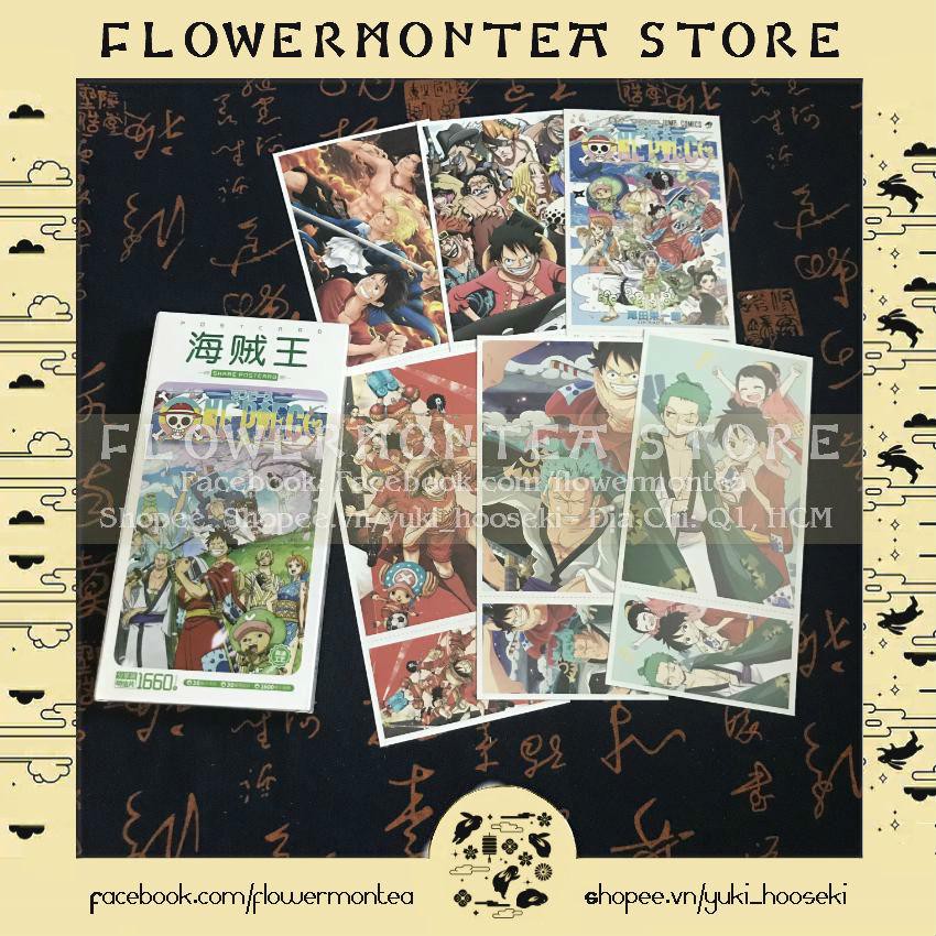 Bưu Thiếp | Postcard - One Piece | Đảo Hải Tặc 01 (Set 5 Bưu Thiếp, 250 Hình Dán - Giao Ngẫu Nhiên)