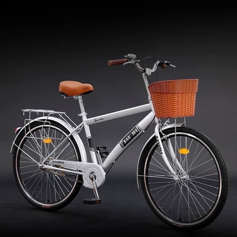 Xe đạp thể thao 26icnh