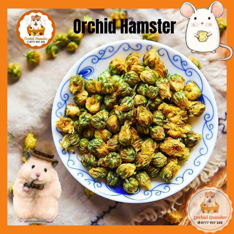 Hoa Cúc Giải Nhiệt Cho Hamster