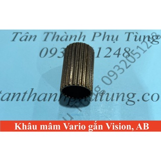 Khâu Mâm Vario gắn cho Vision, AB TanthanhPT