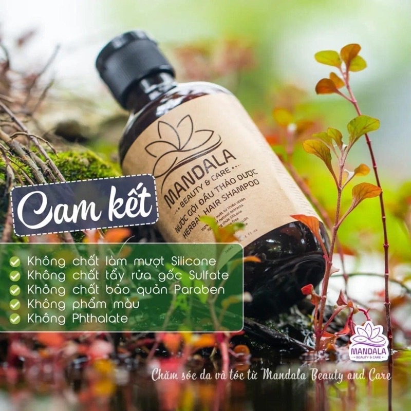 Dầu gội Mandala, nước gội Mandala, dầu gội bưởi kích mọc tóc