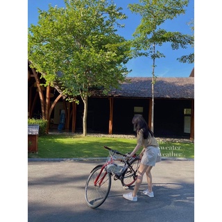 Áo polo len mỏng mongtoghi ( Ảnh thật )