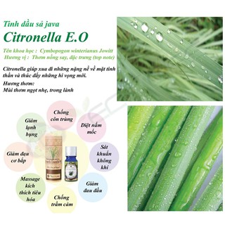 Tinh dầu sả java ECOLIFE – Citronella Essential Oil
