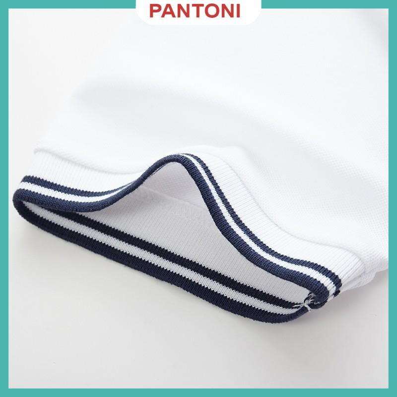 Áo phông nam ngắn tay cổ bẻ phối viền cao cấp : Kiểu dáng Hàn Quốc chất liệu cotton , co giãn 4 chiều(APKV)