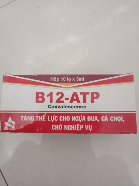 Tăng lực ATP B12