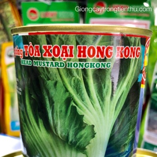 HẠT GIỐNG CẢI BẸ DƯA TOÀ SẠI HỒNG KÔNG