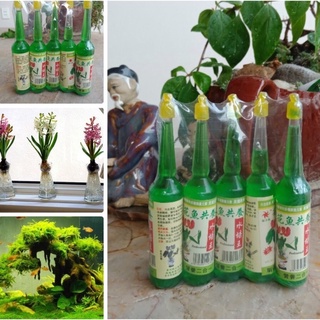 Dung dịch thuỷ canh cho cây