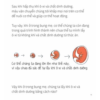 Sách Ehon Bí mật của rốn