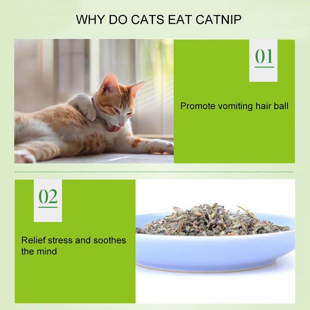 Gói Bột Bạc Hà Làm Sạch Miệng Cho Mèo 5g