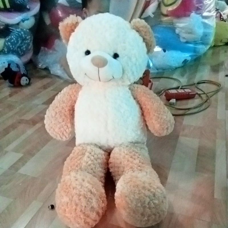 Gấu teddy 80cm phá màu xinh xắn