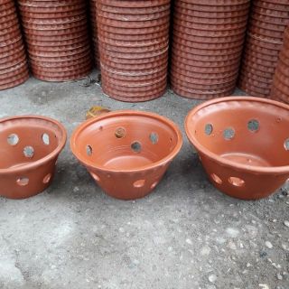 Chậu gốm trồng lan phi 20+móc treo