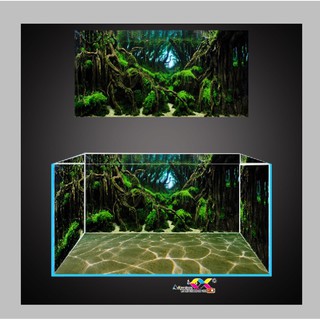 Tranh 3D dán hồ cá, bể thủy sinh, mẫu rừng cây sâu thẳm, tranh có keo sẵn trên bề mặt,có thể làm theo Kích thước yêu cầu