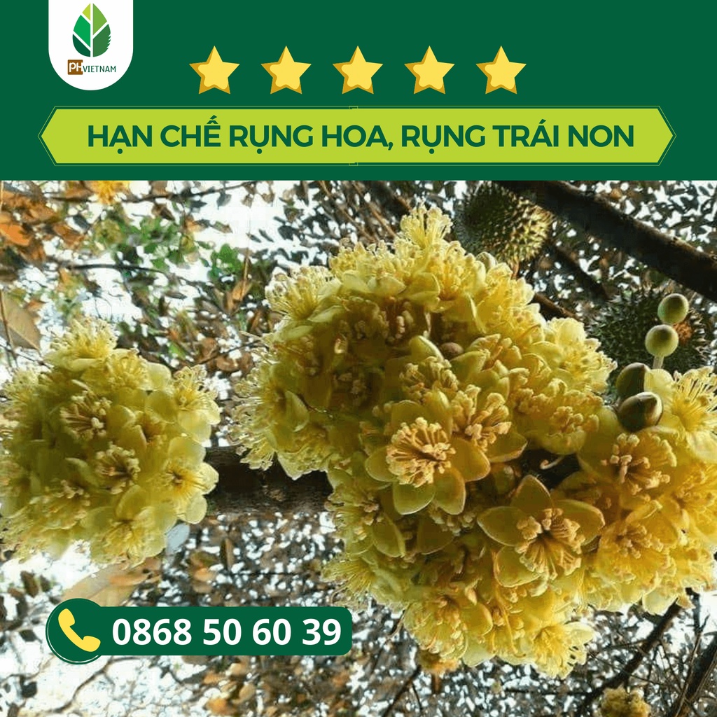 Phân bón lá Canxibo 1 lít – Dưỡng hoa, Dưỡng trái, làm dai cuống, chống rụng hoa rụng trái, thối trái, cứng cây xanh lá