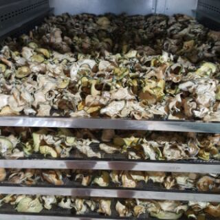 Sỉ bí đao sấy khô 5kg
