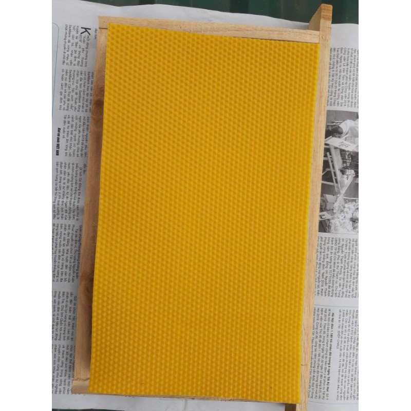 1 tấm Chân tầng ong nội cầu rộng 42cm vàng
