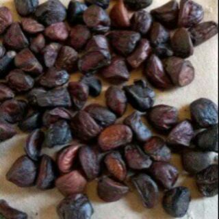 50g - 100g hạt dổi rừng đặc sản tây bắc