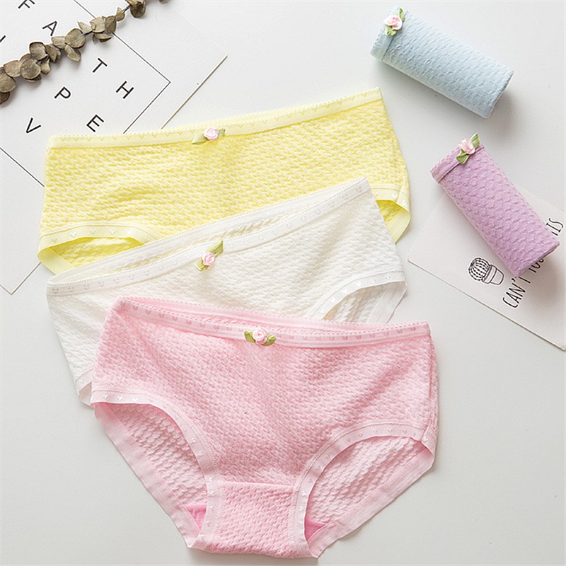 Quần lót cotton thoáng khí xốp nhẹ QL-026