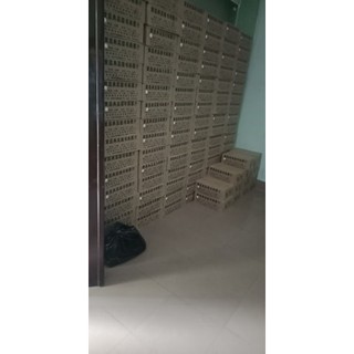 Mực Tàu Viết Thư Pháp (ĐEN) 100ml