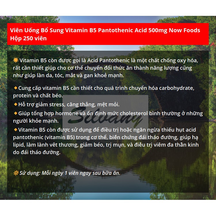 Vitamin B5 Pantothenic_Acid 500mg Now Foods | Thế Giới Skin Care