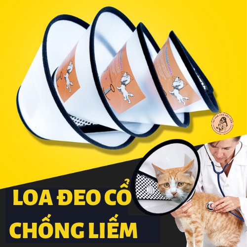 Vòng cổ cho chó mèo loa đeo chống liếm thuốc, chống cắn Con Mèo Xiêm