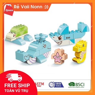 Đồ chơi lắp ghép xếp hình Qman 5001 - Động vật dưới biển