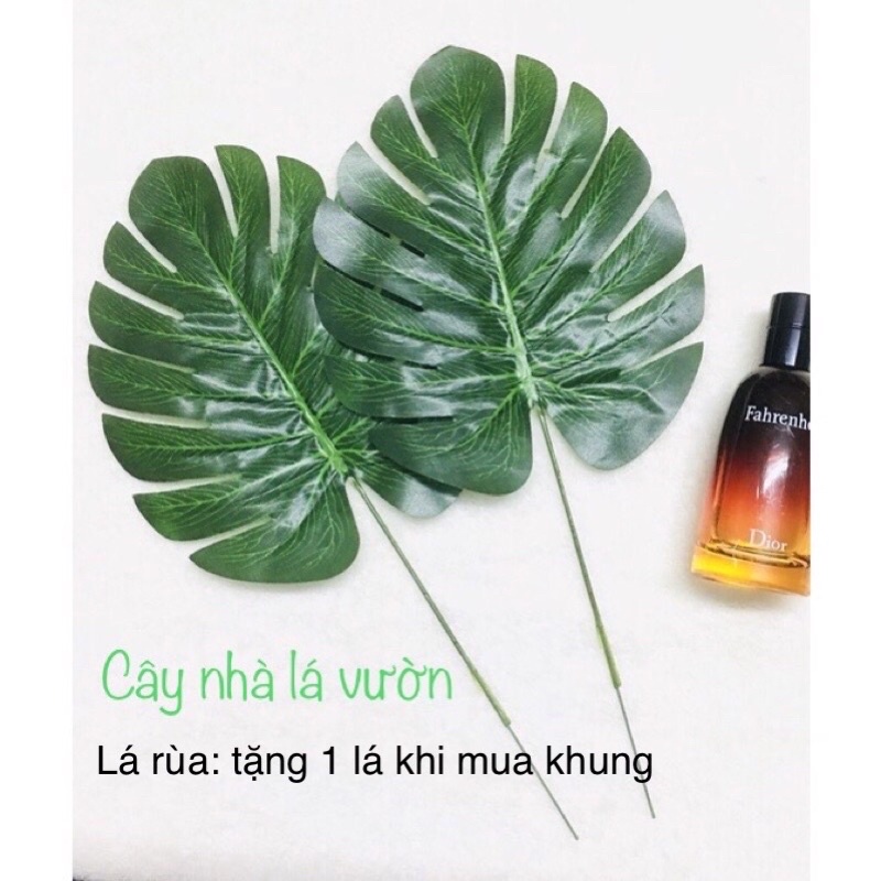Khung ảnh kèm lọ hoa tặng kèm lá rùa.