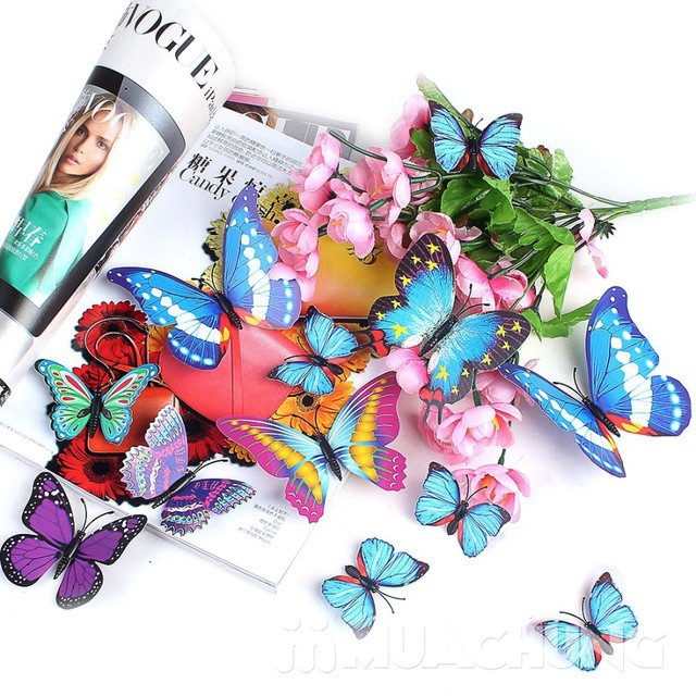 Combo 24 Con Bướm 3D Dán Tường