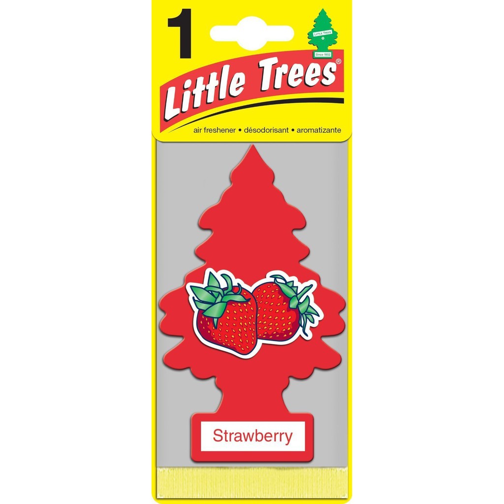 Cây thông thơm mùi dâu tây Little tress strawberry Mỹ