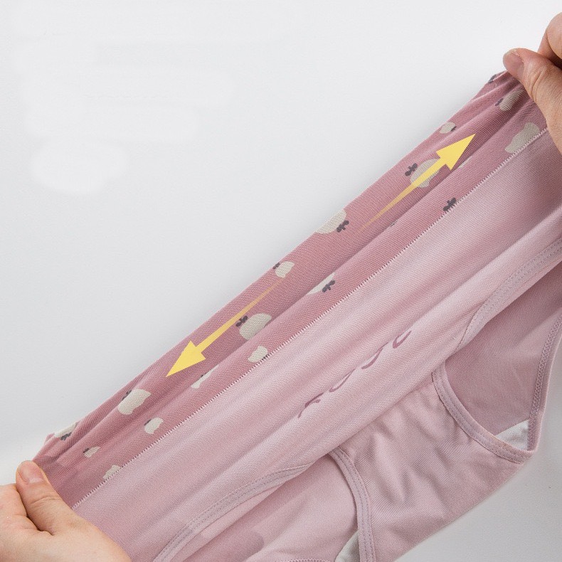 Set 4c quần lót nữ cotton Quảng Châu cao cấp co giãn 4 chiều