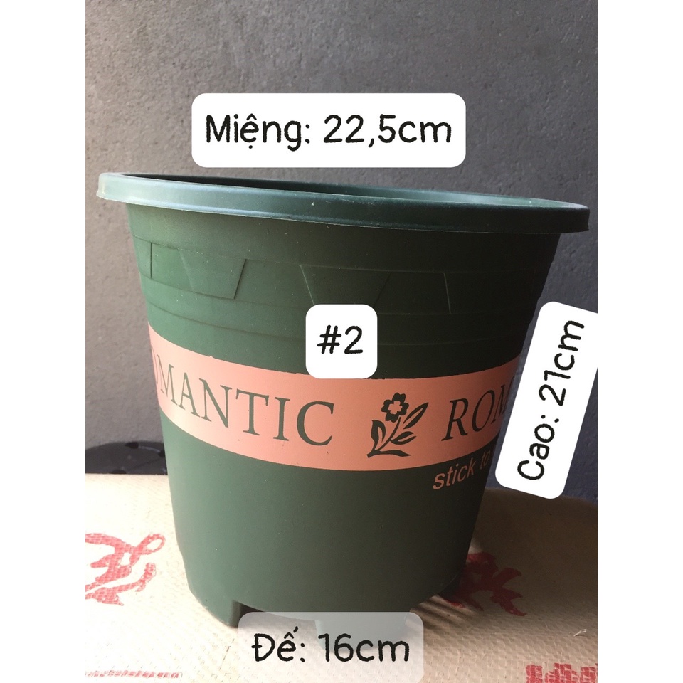 5 CHẬU NHỰA ROMANTIC #2 (BẦU KHAY TÚI ƯƠM, KEO LIỀN SẸO CÂY, KÍCH RỄ MẦM CÂY...)
