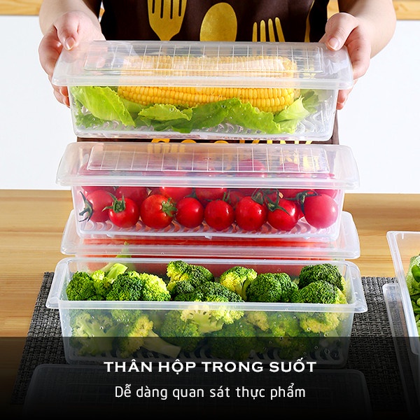 Hộp Thực Phẩm , Hộp Đựng Hoa Quả,Thực Ăn, Rau Củ Để Tủ Lạnh Bằng Nhựa PP Cao Cấp An Toàn Cho Sức Khỏe