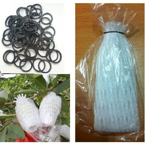 100 Xốp bọc ổi lồng sẵn ( ni lông+ chun+xốp)