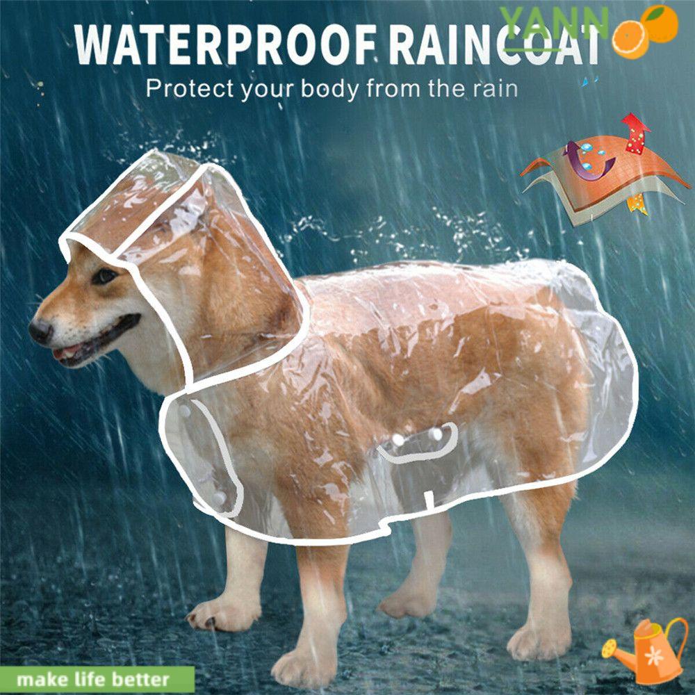Bộ Quần Áo Mưa Trong Suốt Chống Thấm Nước Dành Cho Thú Cưng 1 Tuổi