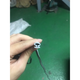 Gioăng cánh cửa panel phòng sạch