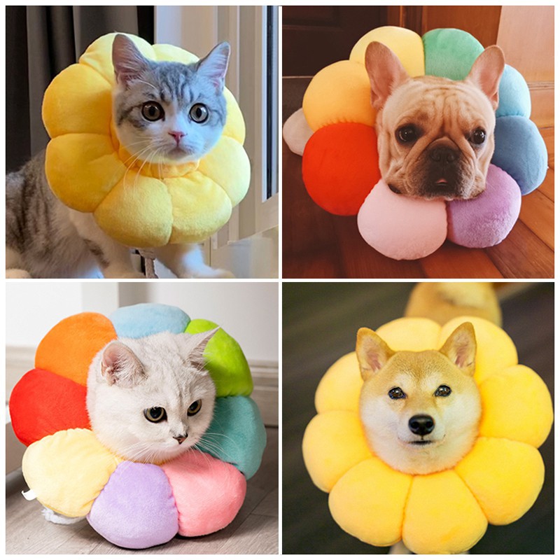 [Mã 1511FMCGSALE giảm 8% đơn 500K] Vòng Cổ Trang Trí Chống Liếm Dễ Thương Cho Chó Mèo Thú Cưng