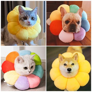 Vòng Cổ Trang Trí Chống Liếm Dễ Thương Cho Chó Mèo Thú Cưng