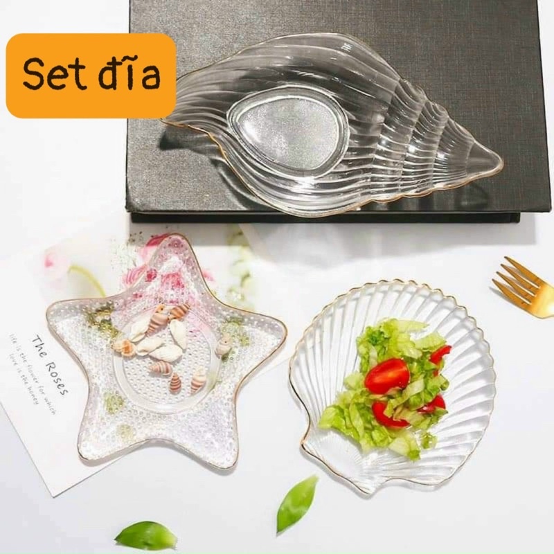 Set 4 đĩa thủy tinh ngao sò ốc hến