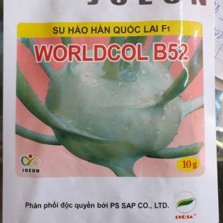 Hạt giống su hào hàn quốc b52