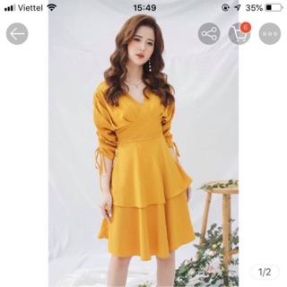 Pass váy của cchat size s newtag