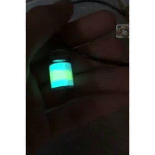 sơn dạ quang 24g