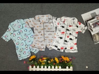 Combo Bộ pijama bé trai bé gái