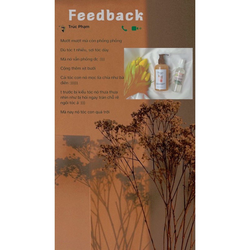 Tinh dầu Bưởi [ Kích mọc - Giảm rụng ] | BigBuy360 - bigbuy360.vn