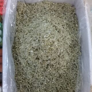 cá cơm sữa (1kg)