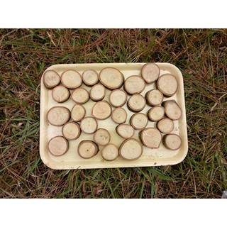 set các miếng gỗ nhỏ