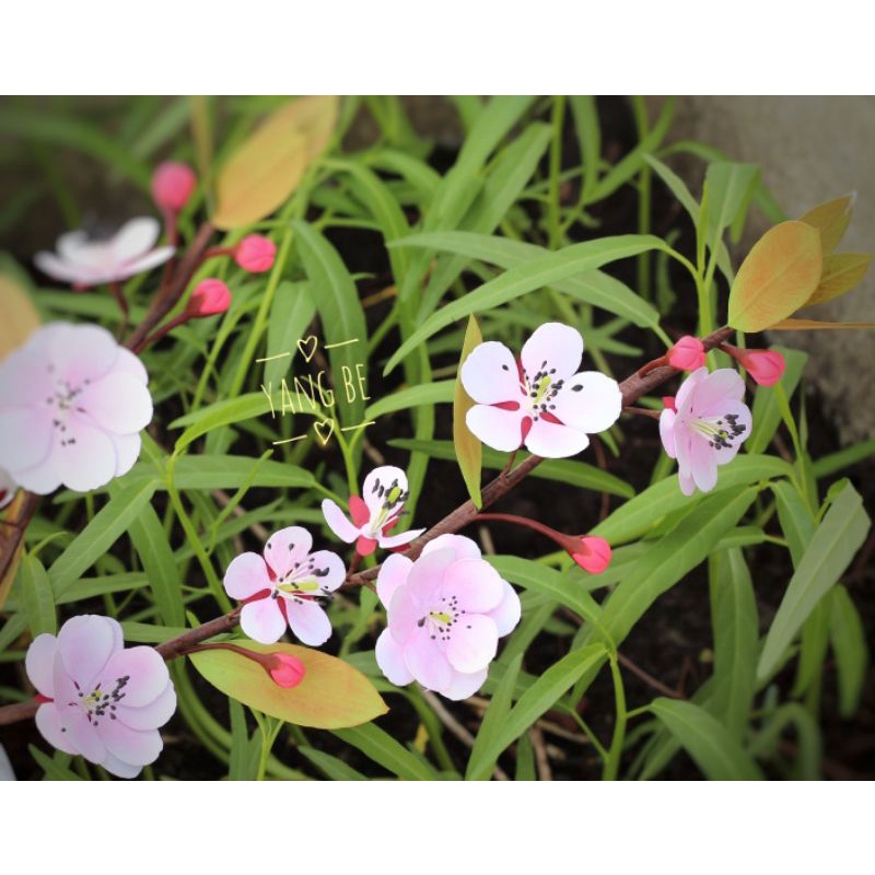 Nguyên liệu làm hoa mai đào