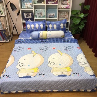 Bộ chăn hè ga gối 5 món cotton poly ch-20